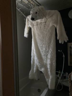 風呂場に『クマ』が出没！　慌てた男性が駆けつけると…家族から怒られた１枚に反響