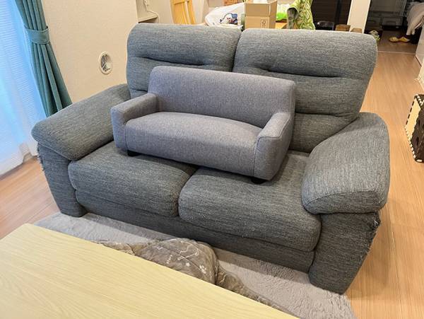 巨大猫か！　ソファでくつろぐ愛猫の写真に「ジャストフィット」「正解」