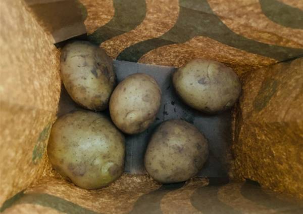 イオン「○○に置かないで！」　傷むのが早い新ジャガ、間違った保存場所とは？