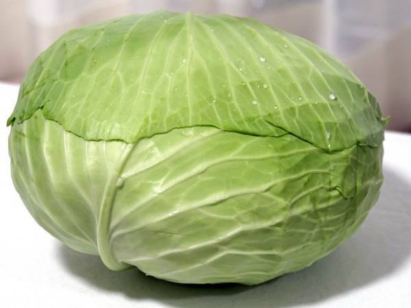 ロールキャベツを巻かずに作ると？　仕上がりに「簡単」「夕食に決まり」