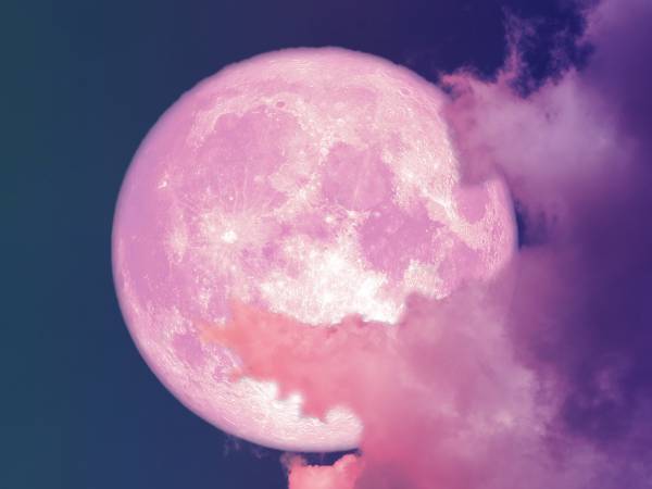 年に一度の『ピンクムーン』がついに！　２０２４年は何を願う？