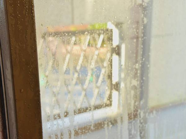 窓拭きに新聞紙、NGってほんと？　企業の情報に「初耳でした」