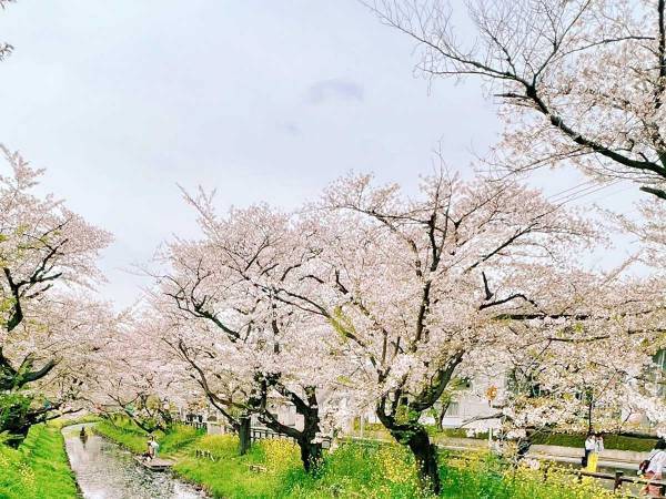 桜を見ていたら、年配の女性に声をかけられ…　いわれた言葉に「こういう人はきっと…」