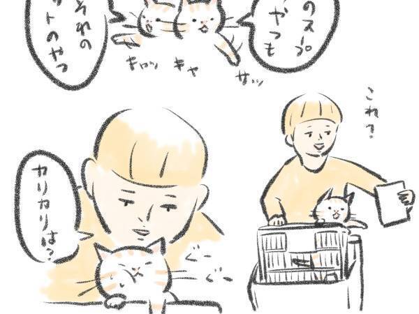 猫好きの夢を叶える妄想が？　ある悩みを抱える飼い主の対策に「カゴがパンパン」「夢のようだ」
