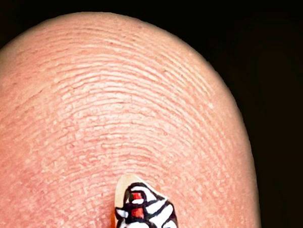 「米粒に○○を描いた」　唯一無二の作品に「え、すご」「天才がいた」