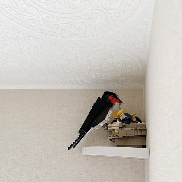 母親が設置した『サプライズ』　見上げると…「二度見した」「すごっ！」