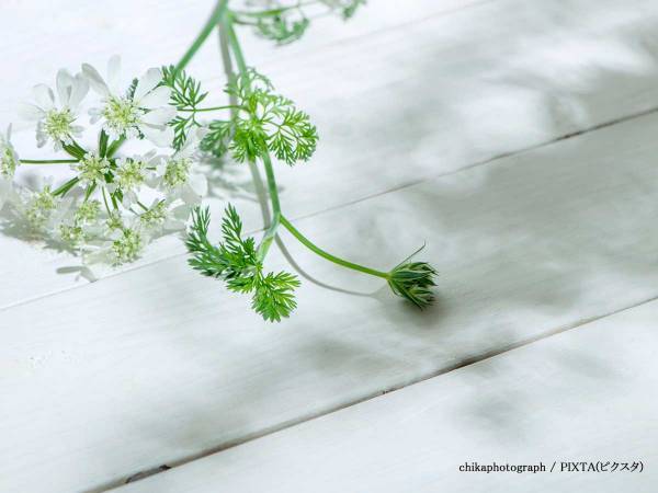 声優の村松康雄さんが逝去　「声優として数々の名作に貢献しました」「ありがとうございました」