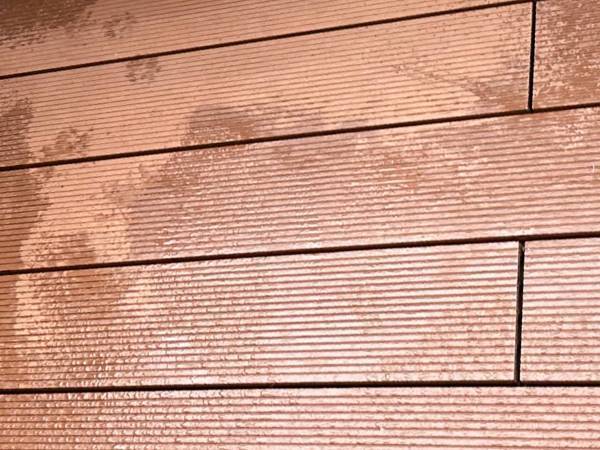 ハスキーの行方は？　ベランダにいた確かな状況に「笑った」