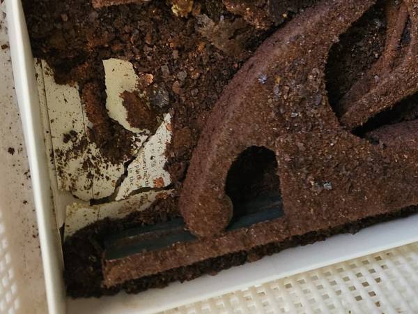 「卓球部の部室に特級呪物があった」　写真に「マジで何があったんだよ」