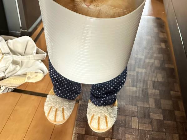 「ねぇコレ、色物洗いでいい？」　妻が見せる『洗濯物』に「これは迷うヤツ」