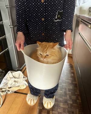 「ねぇコレ、色物洗いでいい？」　妻が見せる『洗濯物』に「これは迷うヤツ」