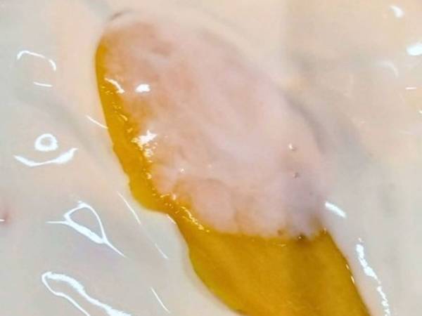 ドライマンゴーはアレに漬けてみて！　思わぬ変化に「びっくり」「マジか」