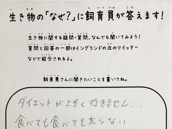 「内容が頭に入ってこない」　飼育員の回答に「ジワジワきて腹筋崩壊」
