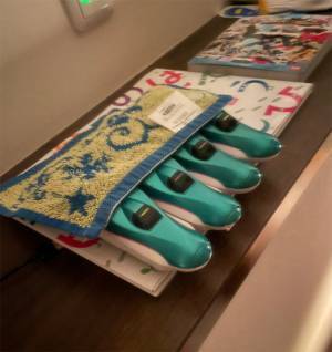 「新幹線の寝かし付け方って…」　困った母親の取った行動に『５万いいね』