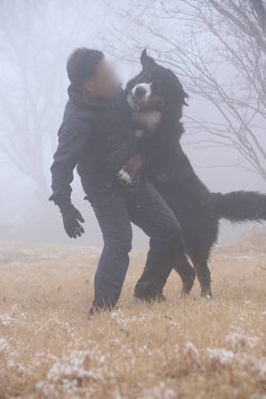 ほほ笑ましい光景のはずなのに…　夫と愛犬の姿に「完全にそれ」「ごめん笑った」