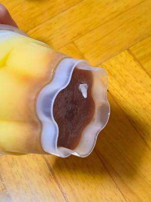 プリンを丸ごと凍らせた結果　食感に「ハマった」