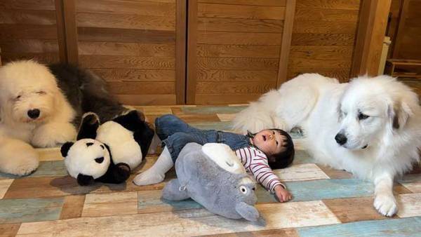 イヤイヤ期に付き合う大型犬　表情から感情が漏れていて？　「手に負えないって顔」「笑った」