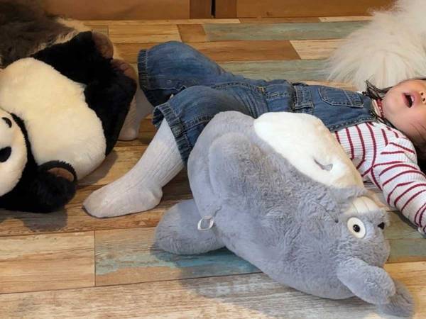 イヤイヤ期に付き合う大型犬　表情から感情が漏れていて？　「手に負えないって顔」「笑った」