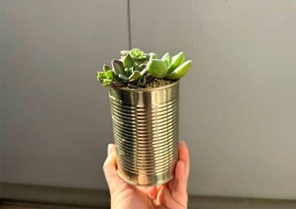 完成した空き缶鉢の寄せ植えの写真