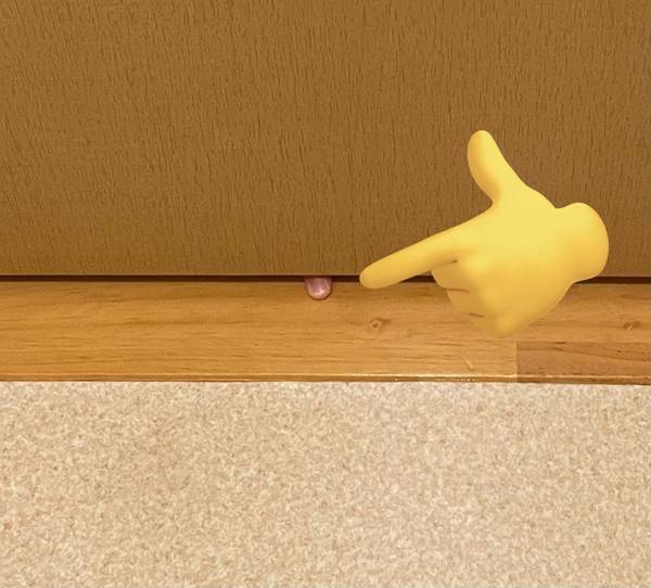 トイレに入る母親、ドアの下を見ると？　写真に「マジで勘弁してほしい」