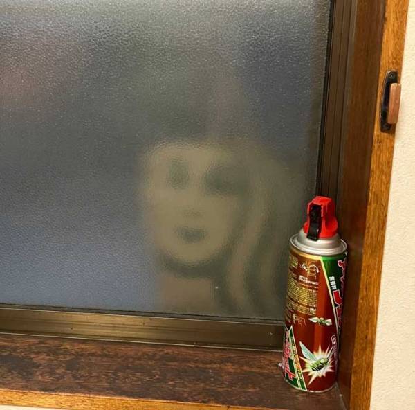 女の人が見ている…　誰もいない窓に「背筋がゾワッ」「絶妙なホラーすぎて笑った」