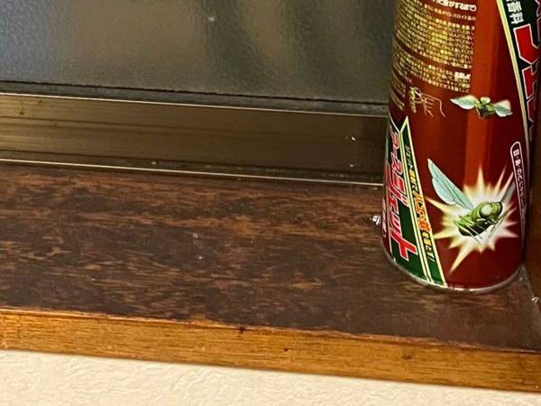 女の人が見ている…　誰もいない窓に「背筋がゾワッ」「絶妙なホラーすぎて笑った」