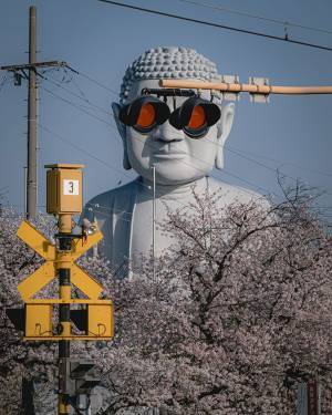 『満開の桜と大仏』を撮影したら？　写真に「爆笑した」「もうそれにしか見えない」