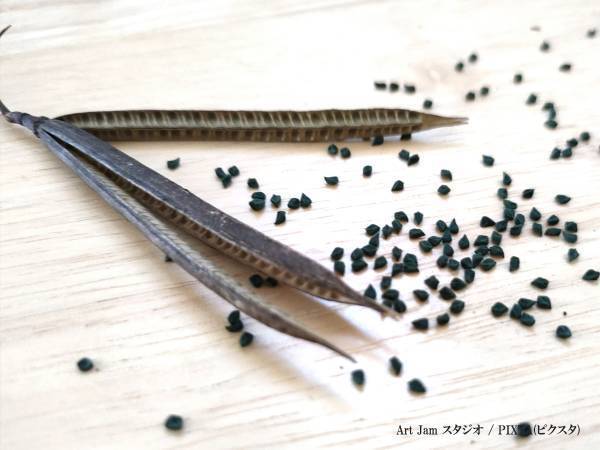 農林水産省「絶対に食べないで」　注意喚起に「知らなかった」「広まるべき」