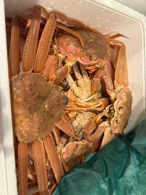 クール便で届いたカニ、箱を見たら…　「こういうの好き」「ヤマトやるぅ」