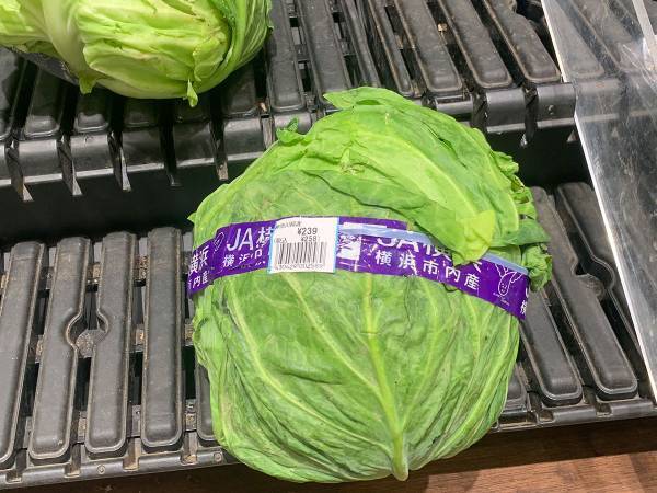 春キャベツがステーキに！？　ミツカンのワザに「めちゃ簡単」「甘さが引き立ちそう！」