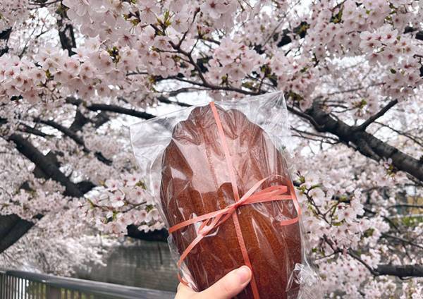 マドレーヌを作った女性　規格外の大きさに「野球のグローブ？」「もはやアート」