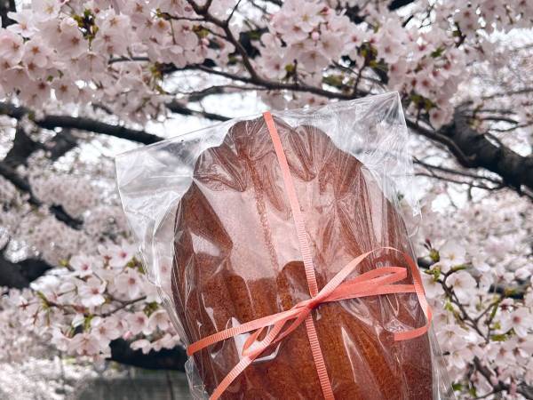 マドレーヌを作った女性　規格外の大きさに「野球のグローブ？」「もはやアート」