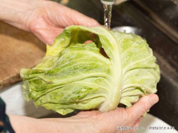 キャベツの外側の葉、捨てた方がいい？　JA嬬恋村の回答に「そうだったのか」