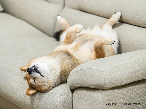 動物病院に来た女性　おじいさんが入ってきて？「なんでやねん！」「爆笑した」