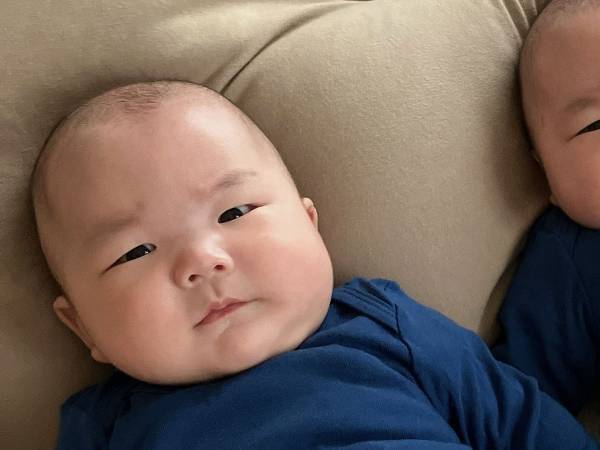 貫禄のある赤ちゃん　こちらをじっと見つめているが、その隣には…