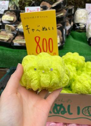 青果店に見慣れぬ野菜が？　ダンボールに入った『正体』に「すごくいい」