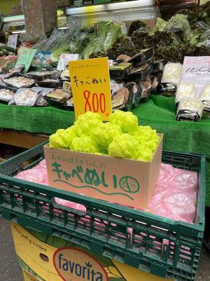 青果店に見慣れぬ野菜が？　ダンボールに入った『正体』に「すごくいい」