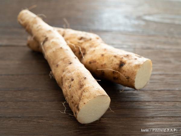 それ、山芋じゃなくて有毒植物かも…？　農林水産省の注意喚起に驚きの声