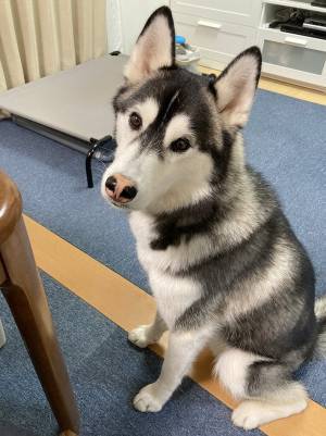 玄関にやってきた水道局員　住人に使用量が倍増した理由を聞くと…？