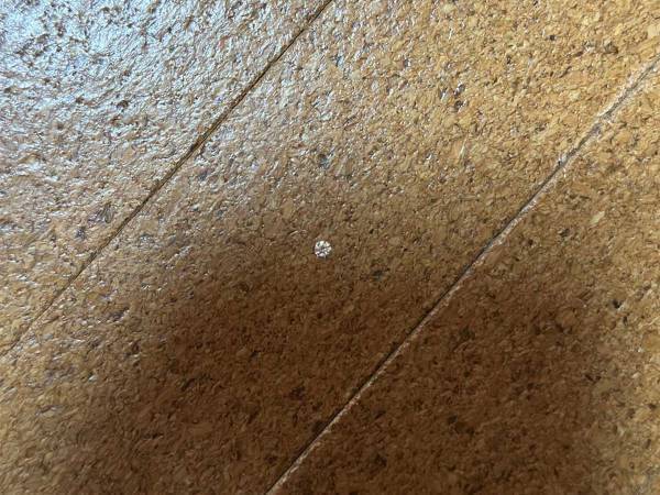 そんなことって、ある！？　いつの間に、カーペットに埋まっていた『あるもの』とは