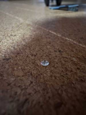 そんなことって、ある！？　いつの間に、カーペットに埋まっていた『あるもの』とは