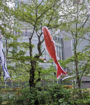 「わあ！鯉のぼ…エ！！」　歩いていた人が、思わず二度見したワケは？