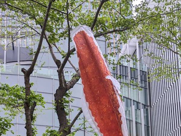 「わあ！鯉のぼ…エ！！」　歩いていた人が、思わず二度見したワケは？