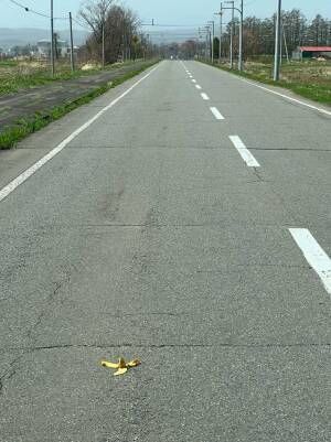 道路に落ちたバナナの写真