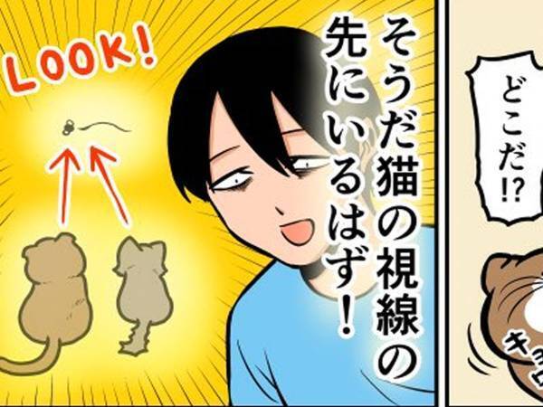 虫に反応する猫たち！　捕まえようと、飼い主が視線の先を見ると？「爆笑オチだ」