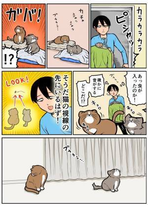 虫に反応する猫たち！　捕まえようと、飼い主が視線の先を見ると？「爆笑オチだ」