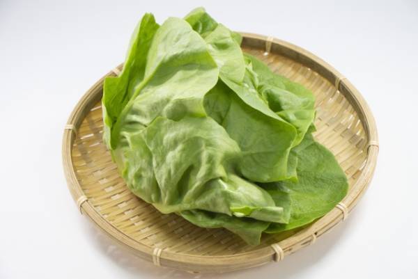 サラダ菜とは？　選び方や保存方法、レシピを紹介！