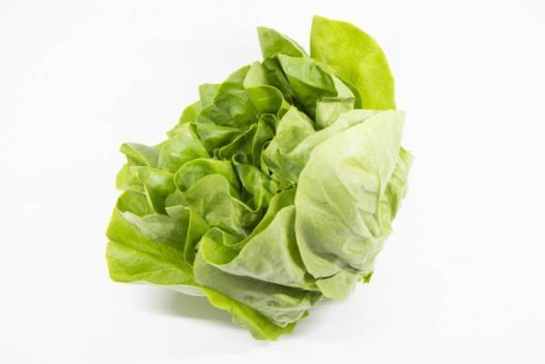 サラダ菜とは？　選び方や保存方法、レシピを紹介！