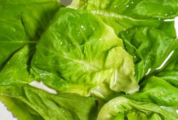 サラダ菜とは？　選び方や保存方法、レシピを紹介！