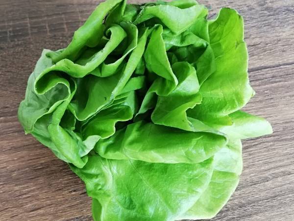 サラダ菜とは？　選び方や保存方法、レシピを紹介！